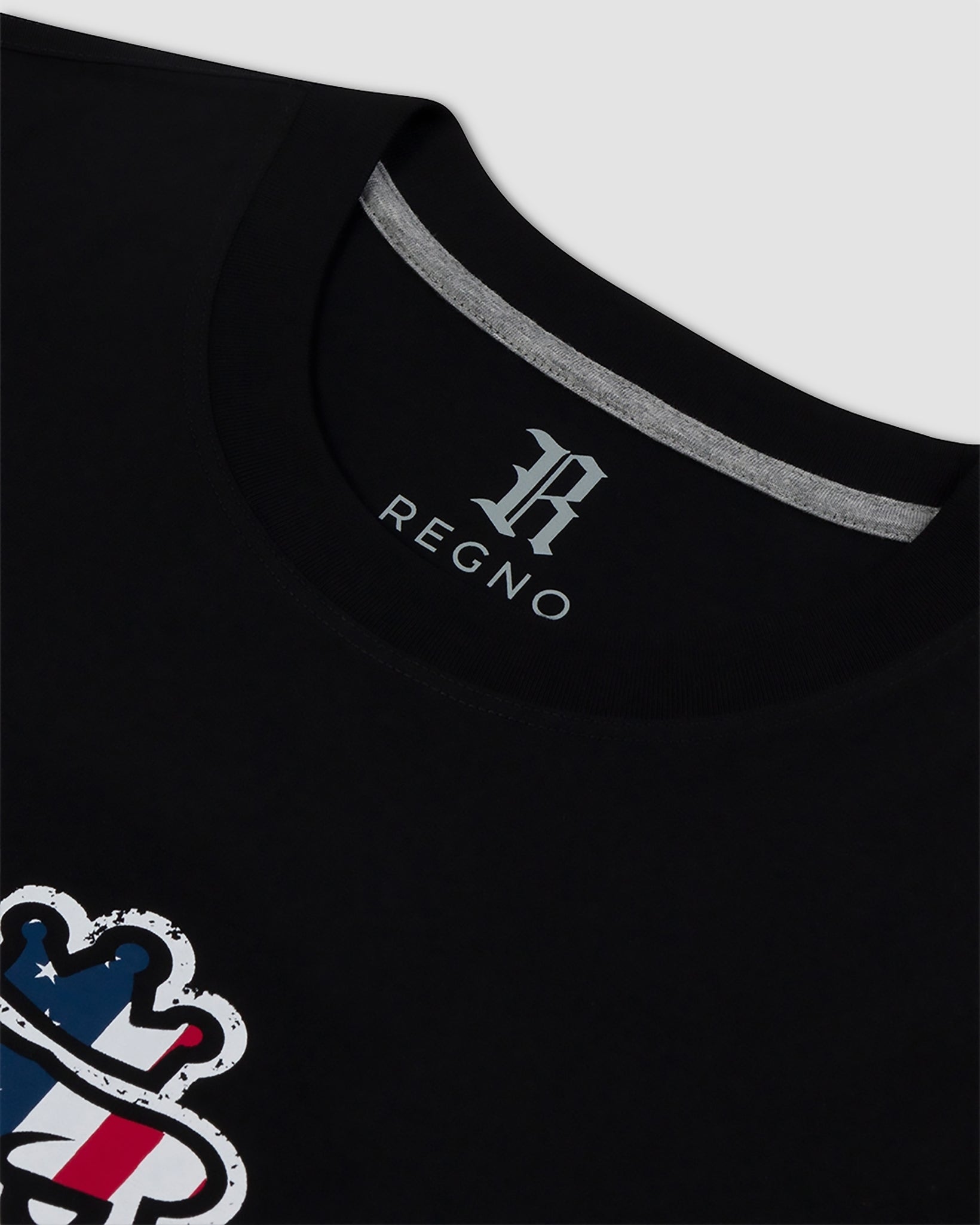 Close-up of red white and blue American flag T-Rex graphic on black pima cotton t-shirt by Regno, detail shot